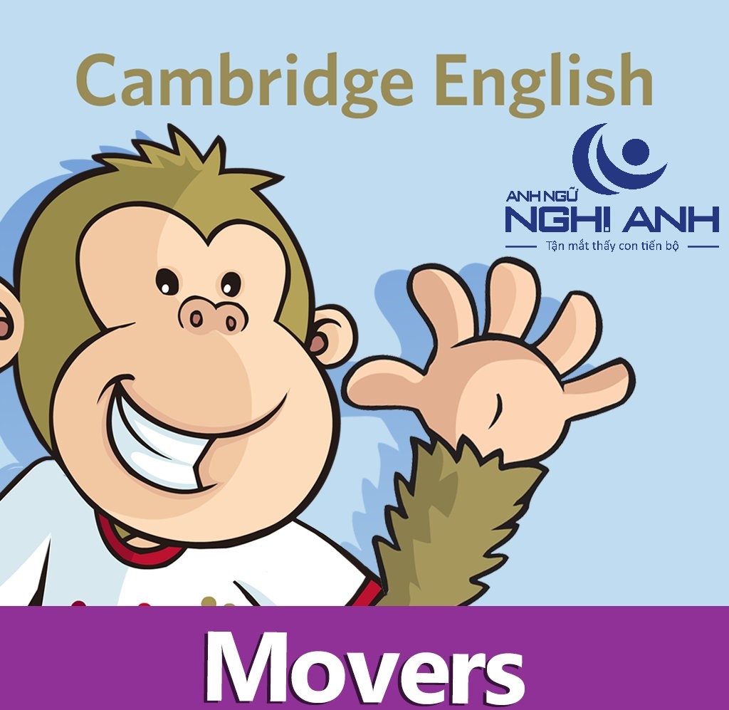 KẾT QUẢ KỲ THI CAMBRIDGE MOVERS NGÀY 17/11